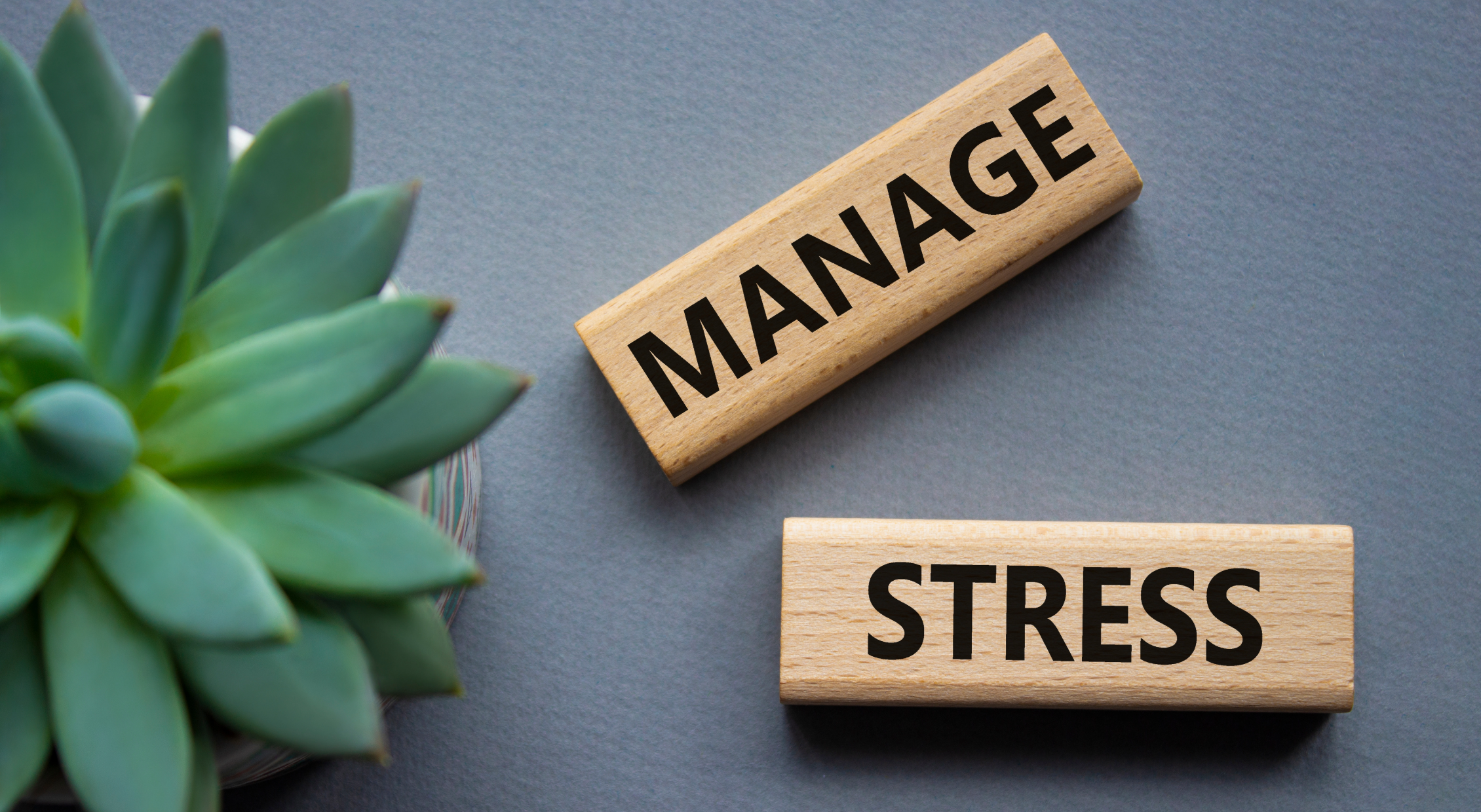 Manage Stress